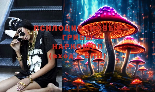 а пвп мука Алексеевка